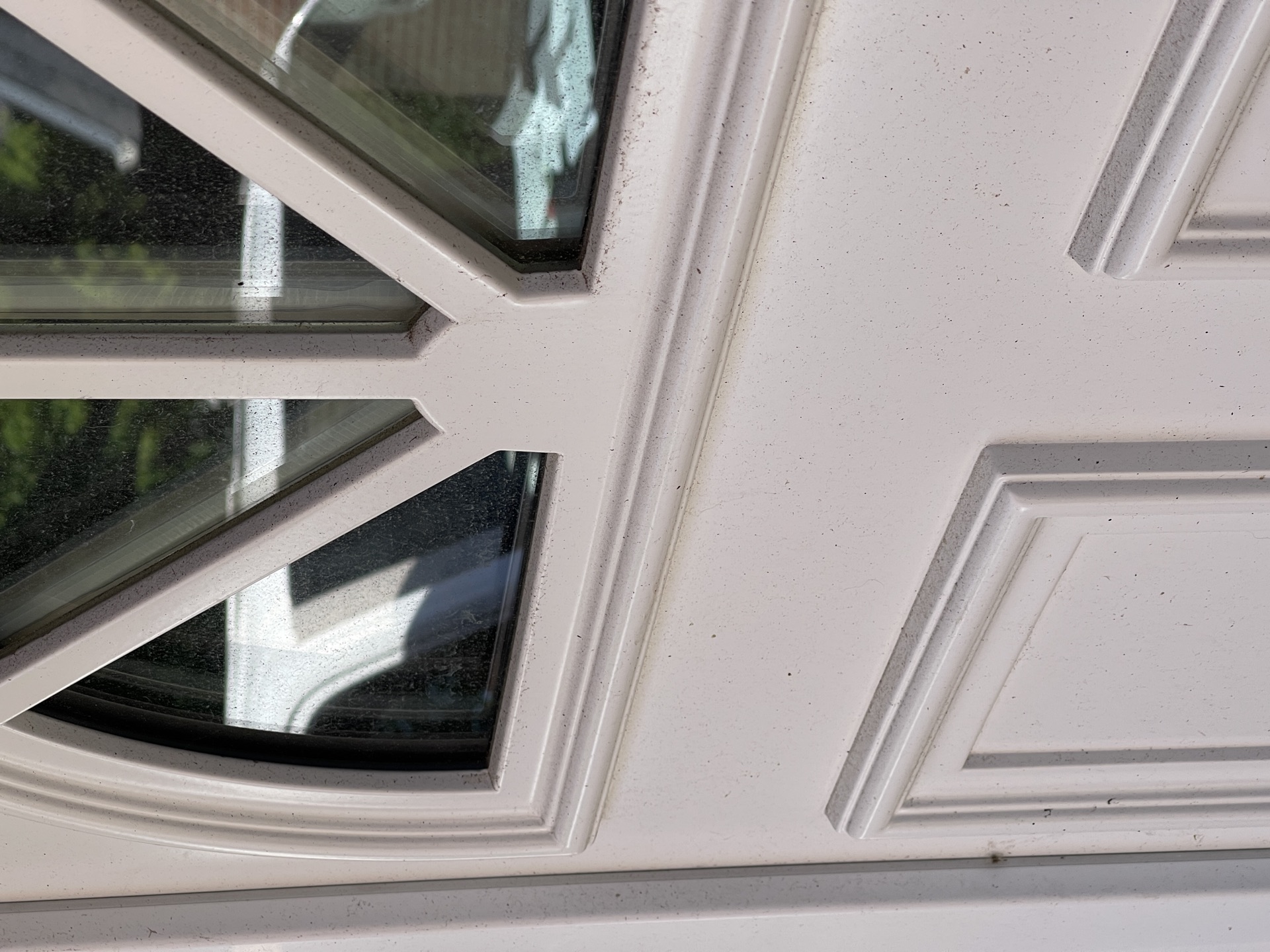 Verschmutzte Haustür mit Ornamentglas vor der NordFlut Fensterreinigung