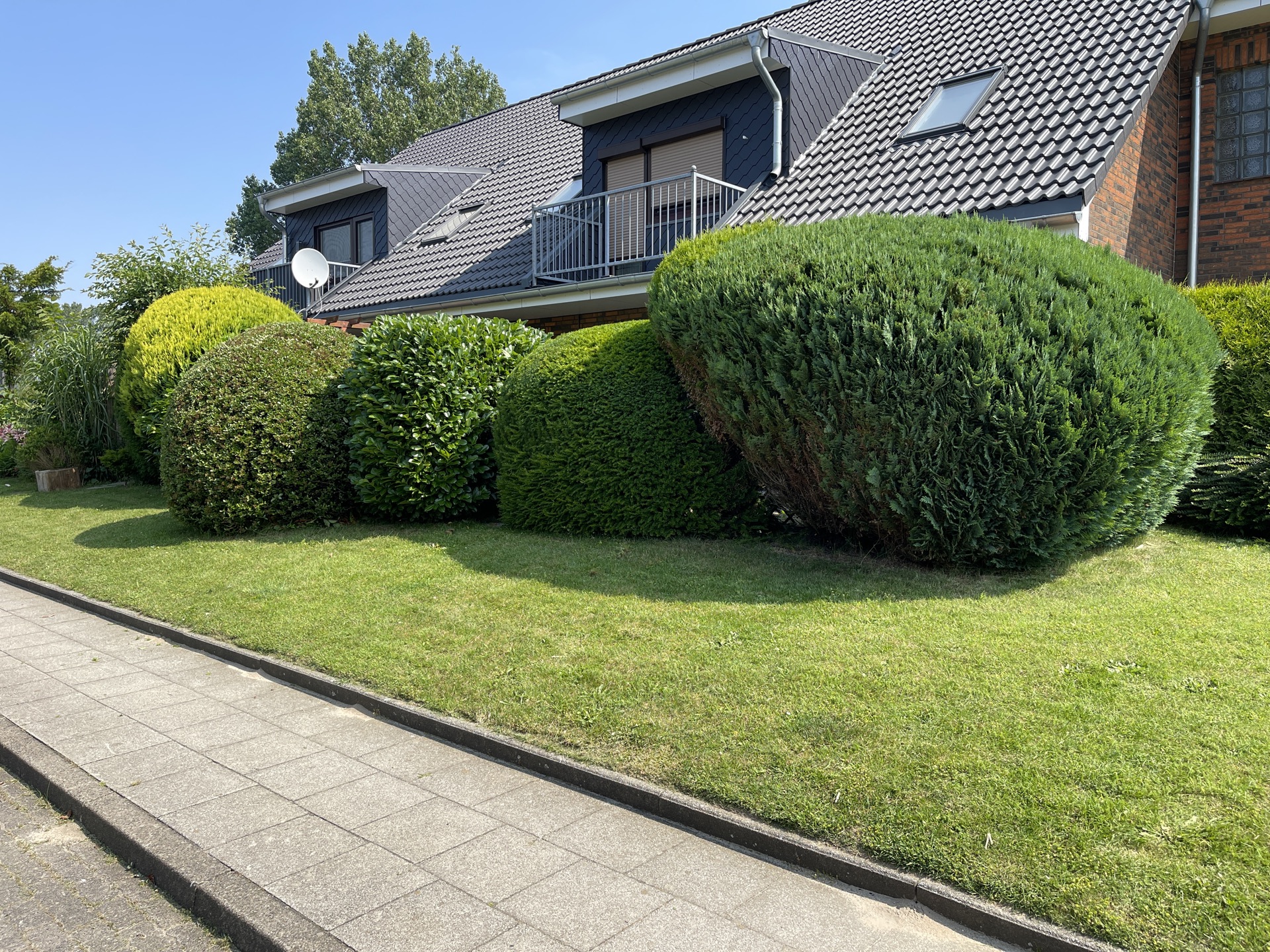 NordFlut Hausmeisterservice – Hecken-Formschnitt Büsum Dithmarschen